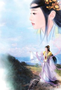傻妻