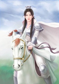特戰兵王(閃爍)